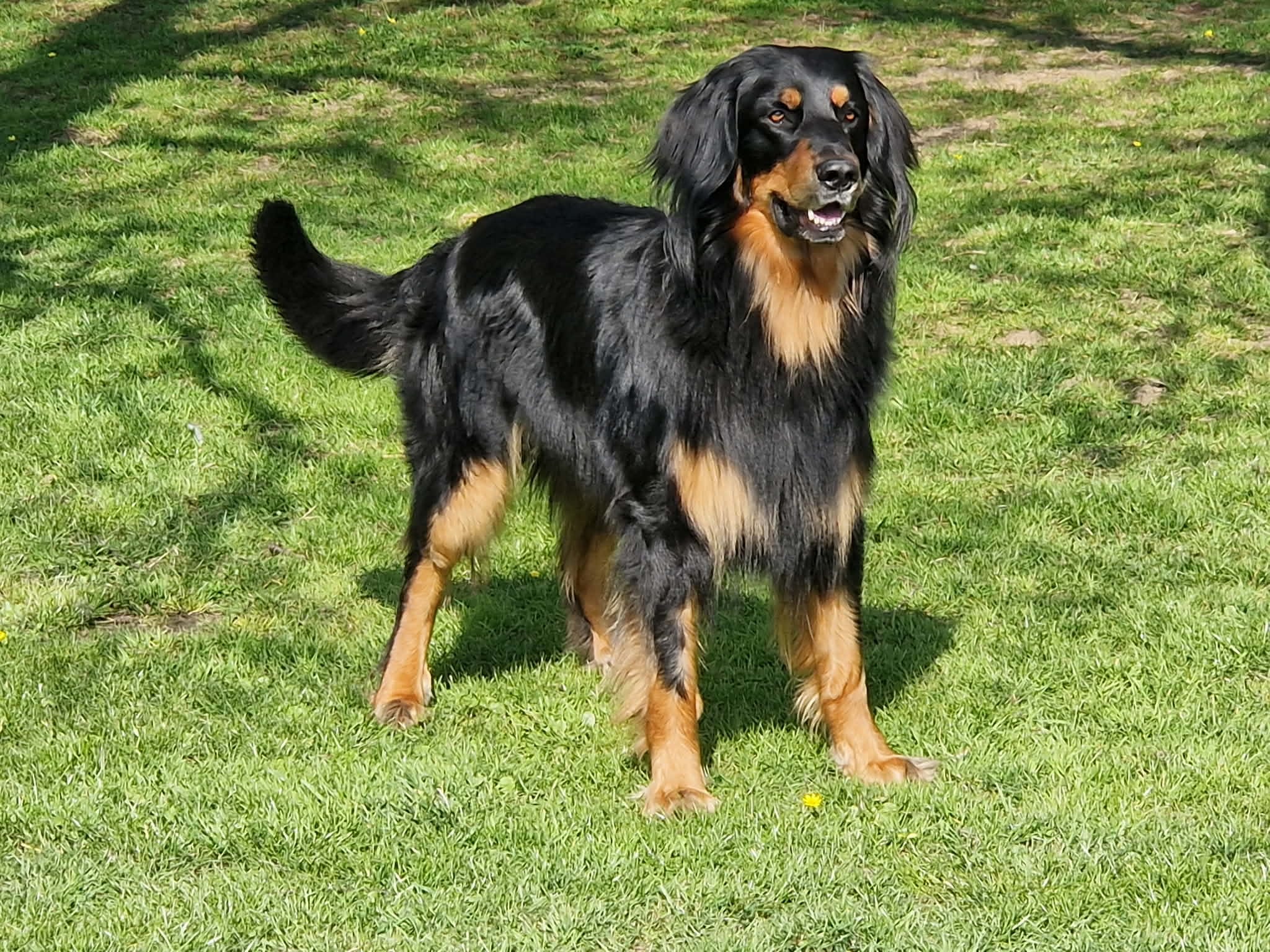 04d451bf 8557 4723 8740 885f1750f87b