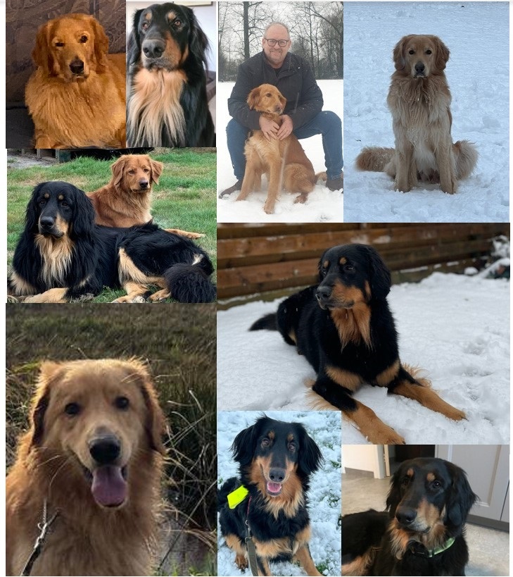 2 jaar 2