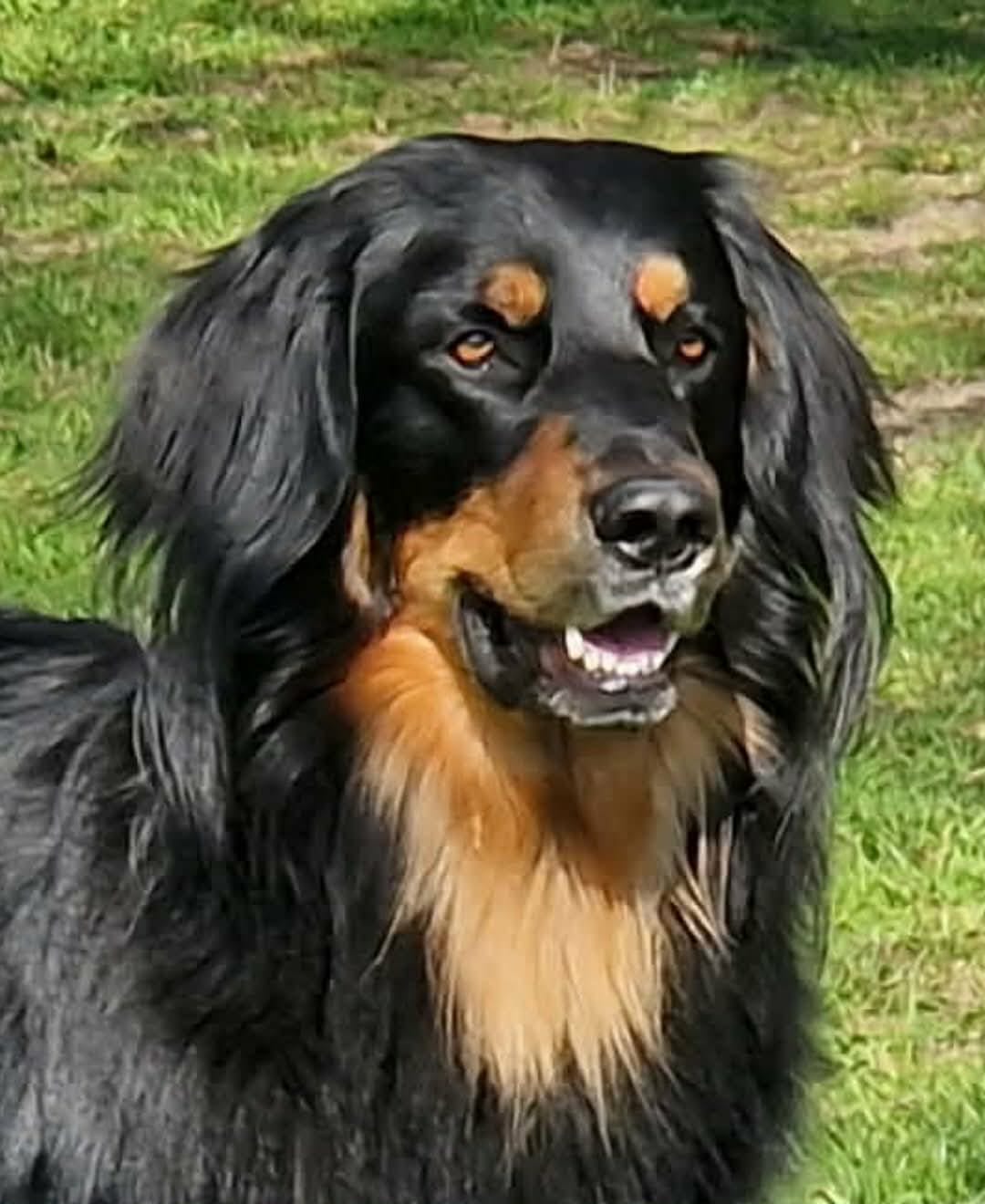 6477c034 efc4 42d9 bd29 b272f468552a