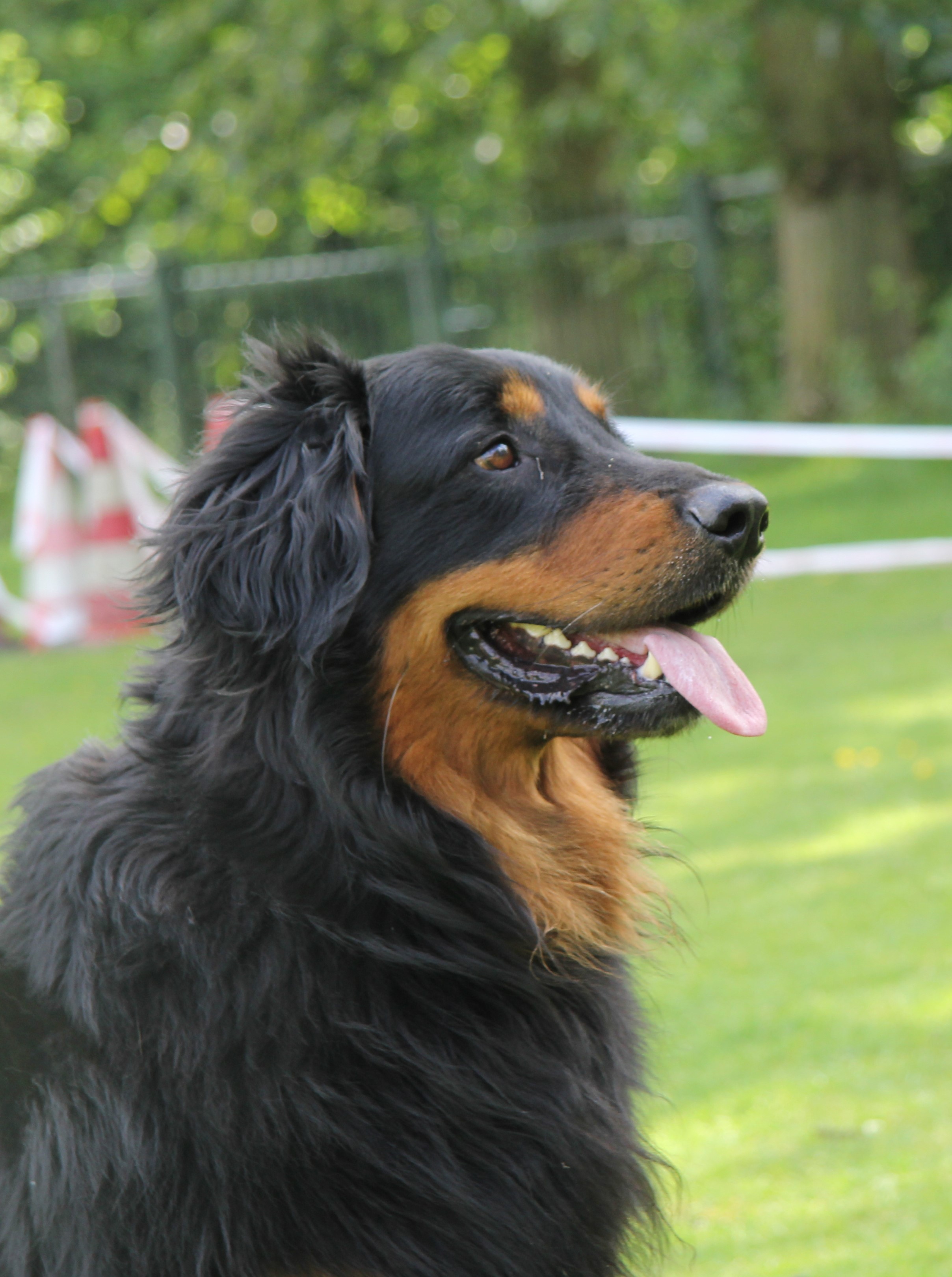 Diego