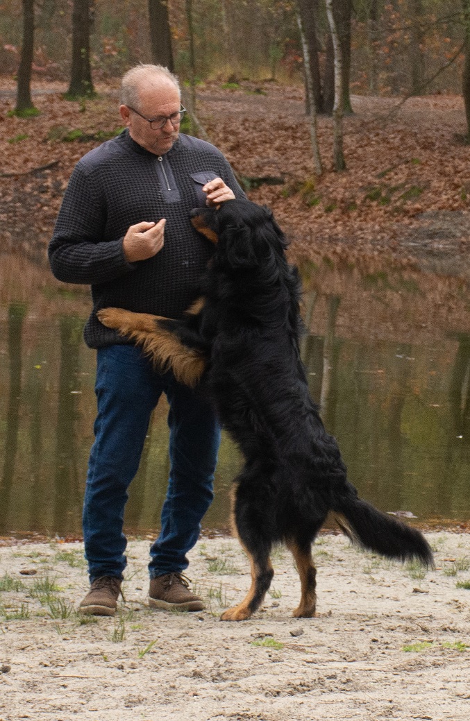 Kees ties staan
