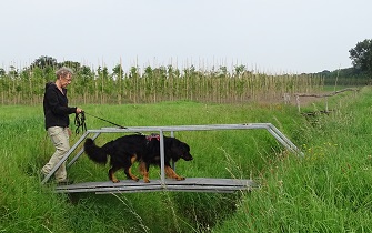 Loki trainingsweek 2024 speuren 9 klein
