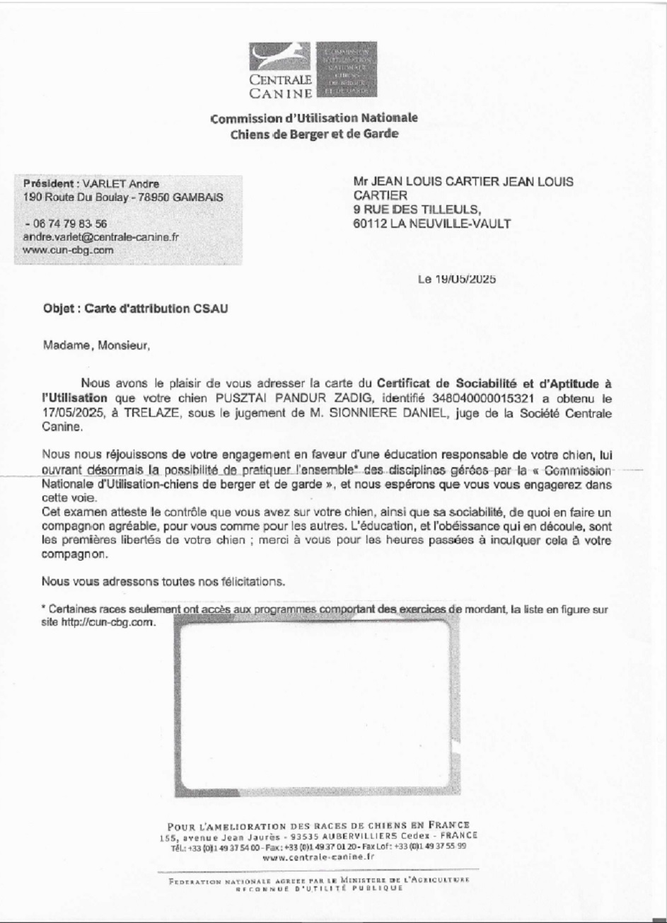 Pusztai Pandur Zadig CSAU