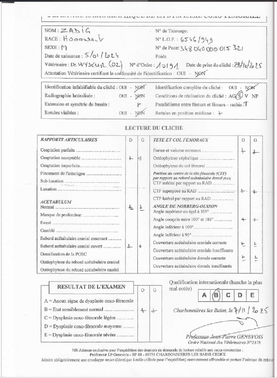 Pusztai Pandur Zadig DM