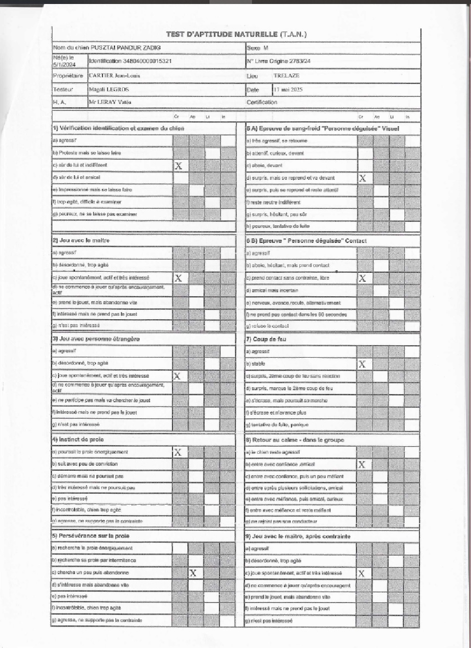 Pusztai Pandur Zadig T.A