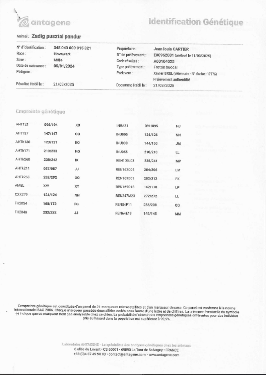 Pusztai Pandur Zadig identification génétique