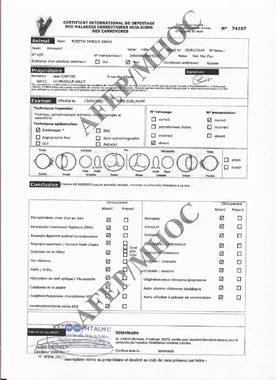 Pusztai Pandur Zadig oogonderzoek