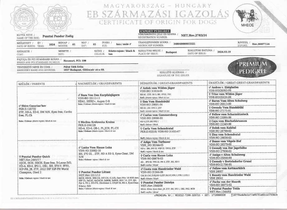 Pusztai Pandur Zadig stamboom