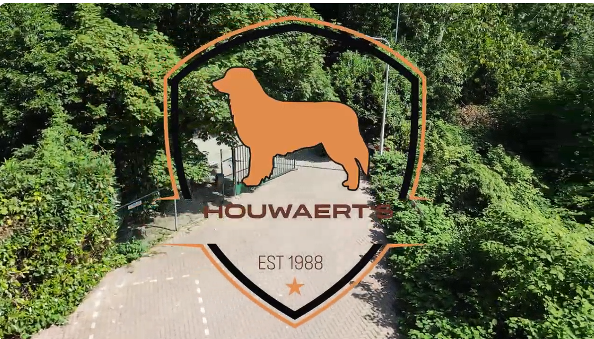 Schermafbeelding 2026 01 07 213430