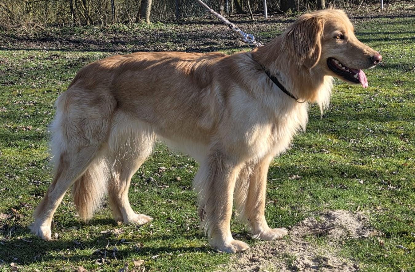 a8a5a2dd 4321 42d7 8d7a 7be676991186