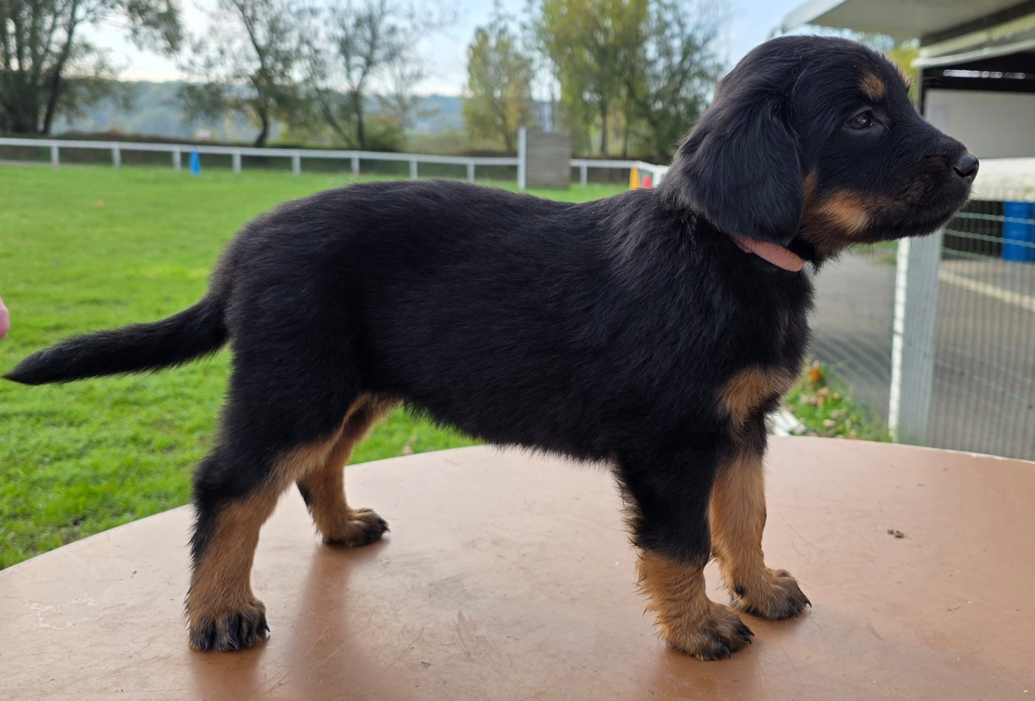 d243b187 49a1 4de9 8436 cfa53e23969f