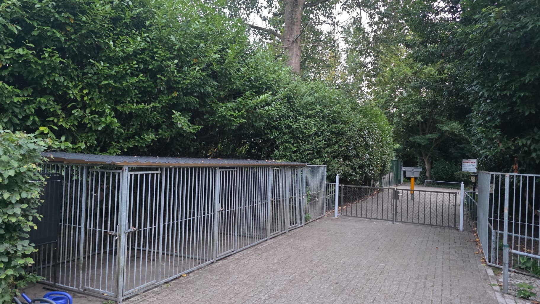 kennel 2