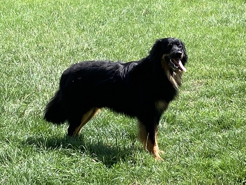 loki staan 2